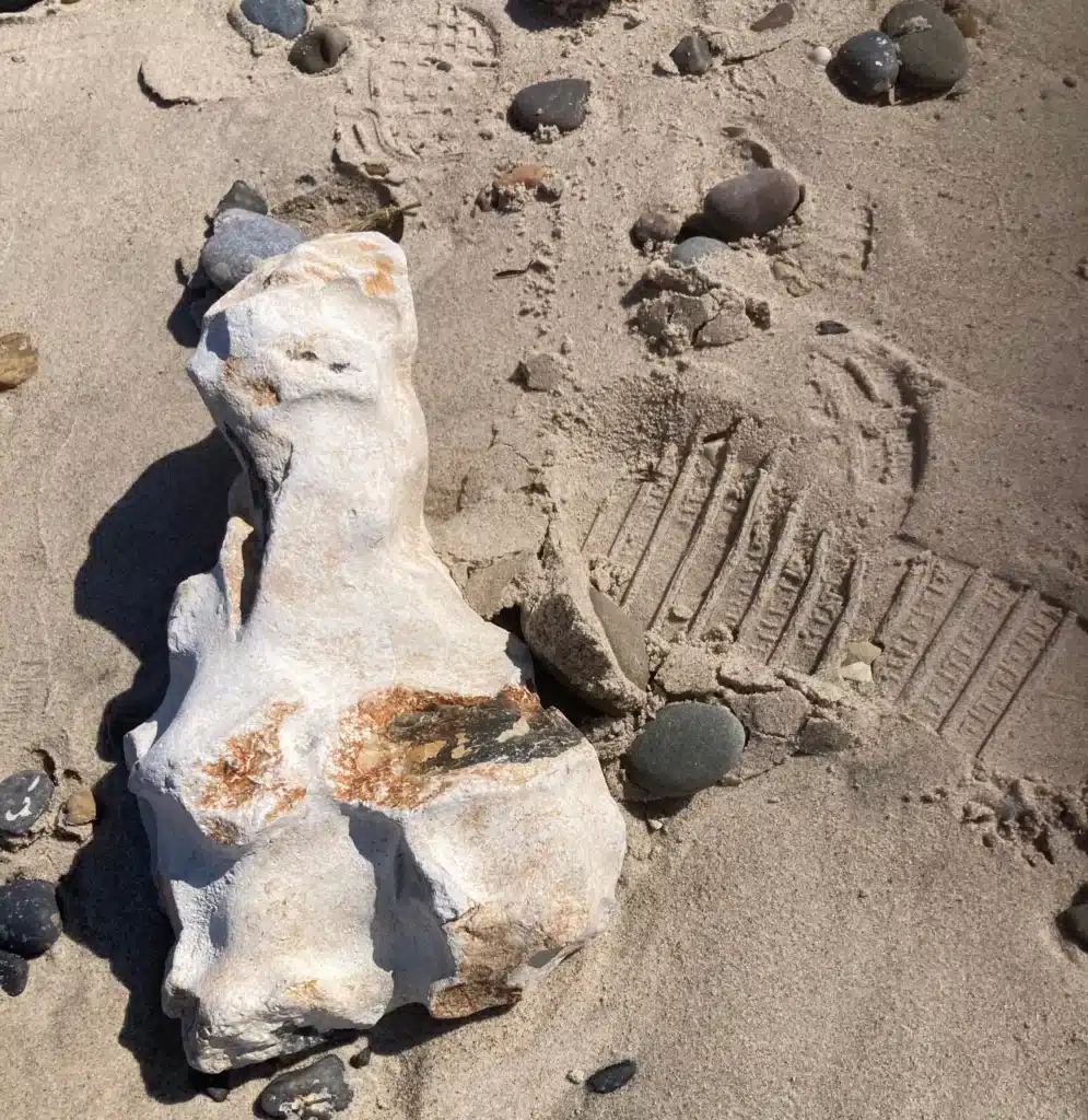 Sten på stranden som symbol på individuel samtaleterapi hos Ankerplads